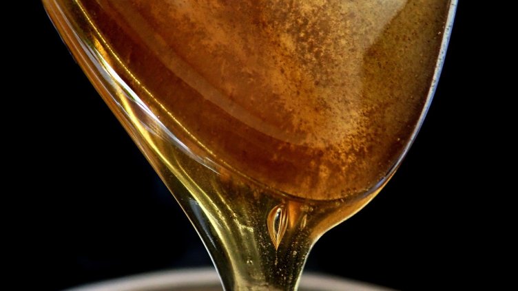 Снимка на Beverly Buckley от Pixabay