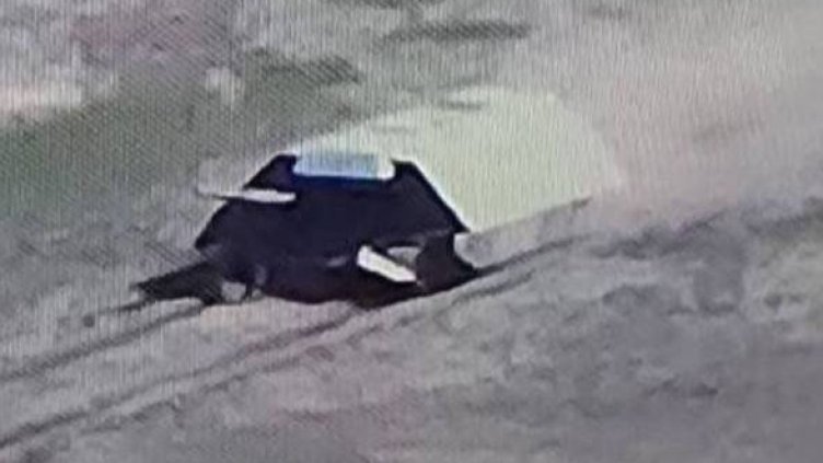 Снимки: Twitter