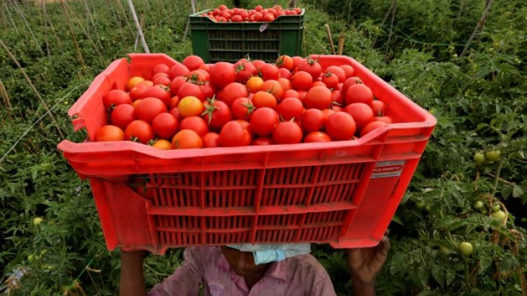 Снимка: БГНЕС/EPA