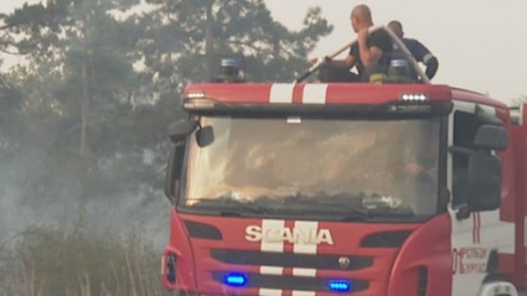 Снимка БГНЕС, архив