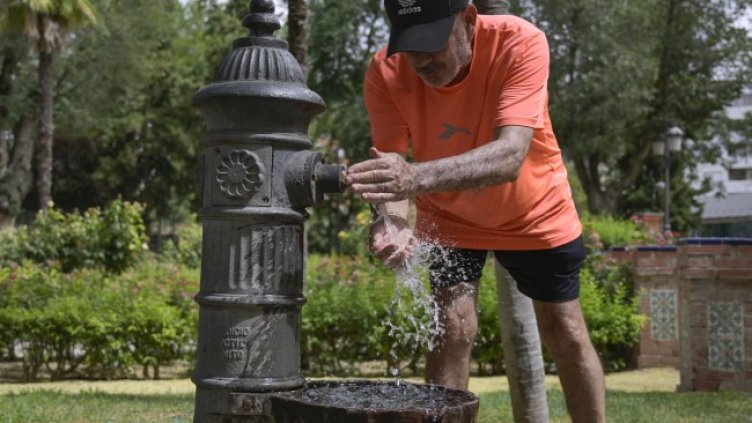 Снимка: архив, БГНЕС