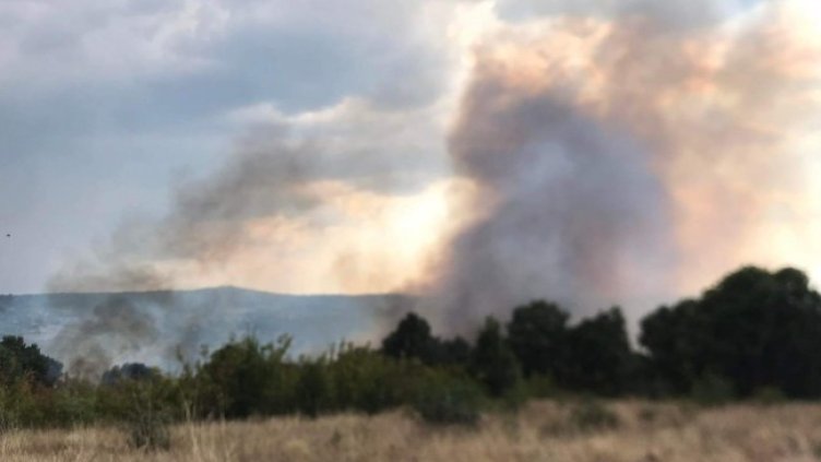 Снимка: архив, БГНЕС