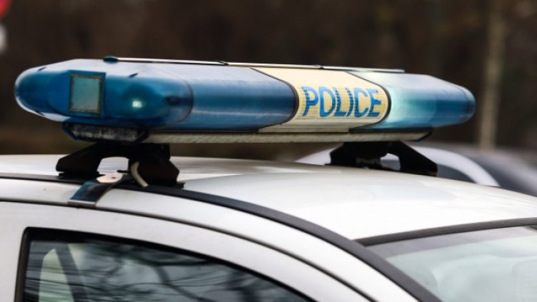 Снимка: архив, БГНЕС