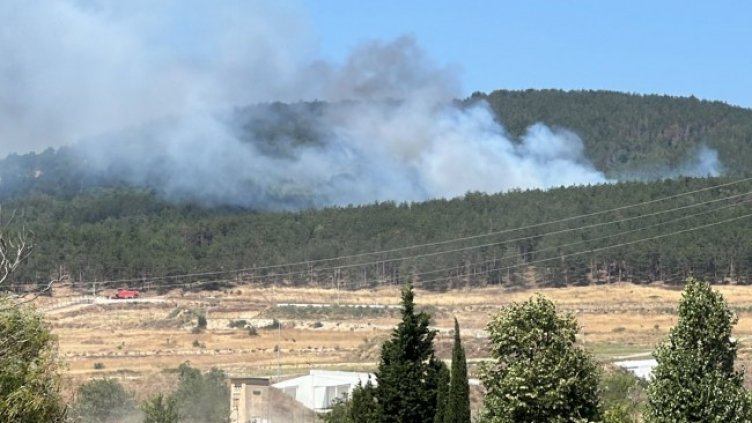 Снимка: БГНЕС