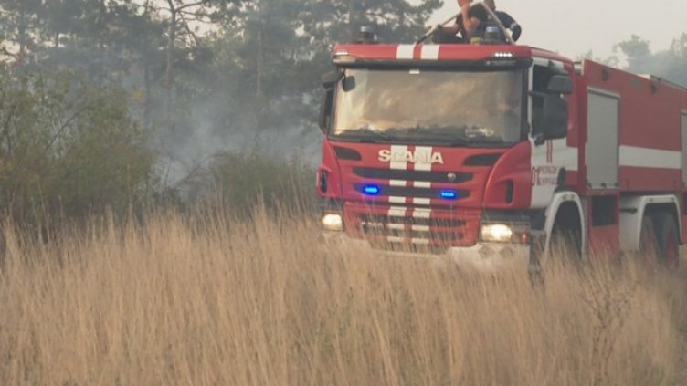 Снимка БГНЕС, архив