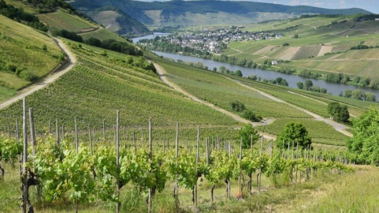 Снимка: Pixabay