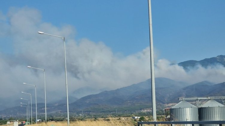 Снимка БГНЕС