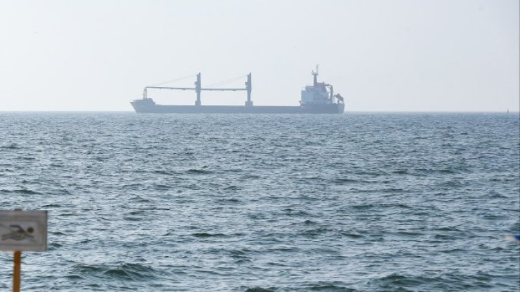 Снимка: Архив, БГНЕС