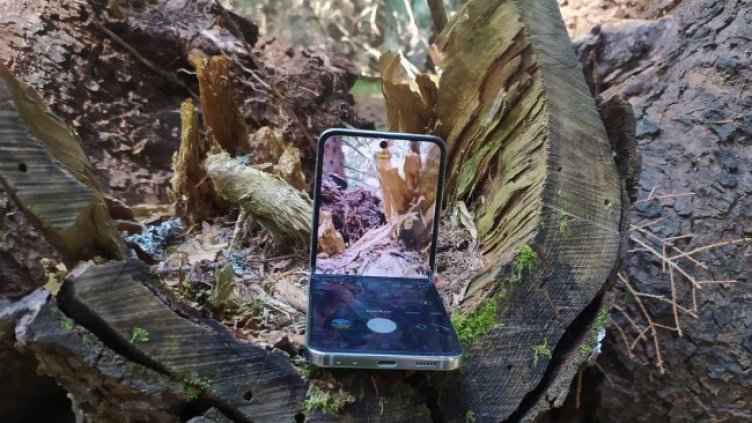 Снимка: Dnes.bg