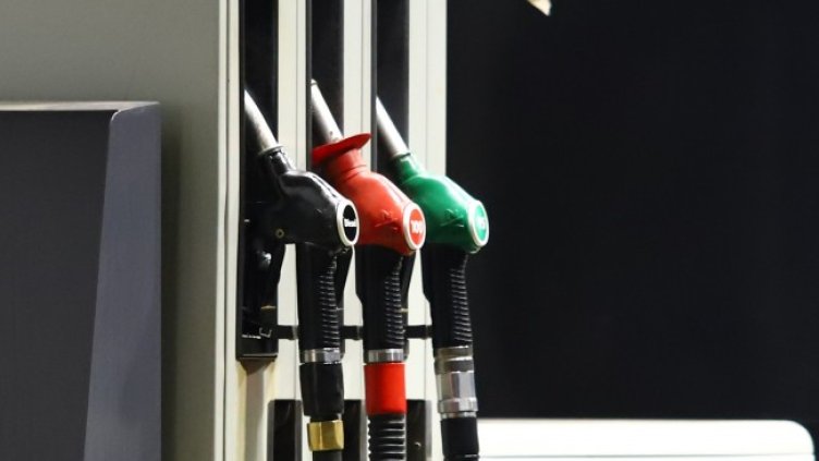 Снимка БГНЕС, архив