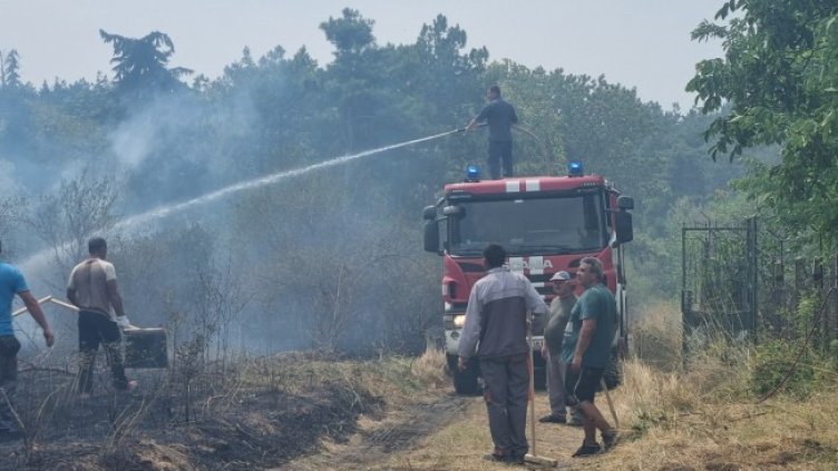 Снимка: БГНЕС