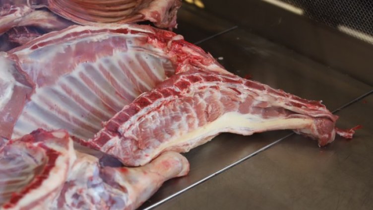 Снимка БГНЕС, архив