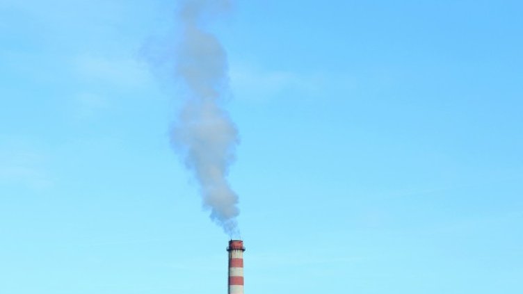 Снимка БГНЕС, архив