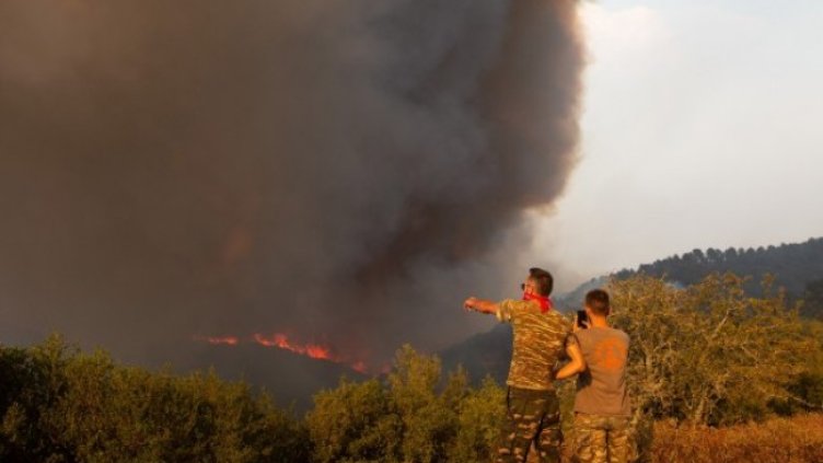 Снимка: БГНЕС