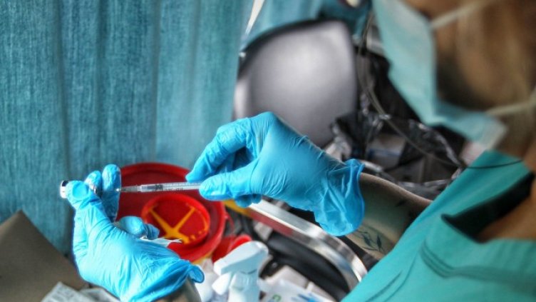 Снимка: Димитър Кьосемарлиев, Dnes.bg