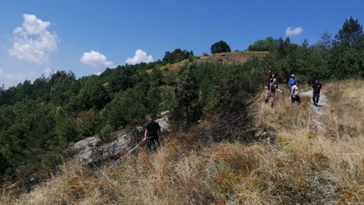 Снимка: БГНЕС