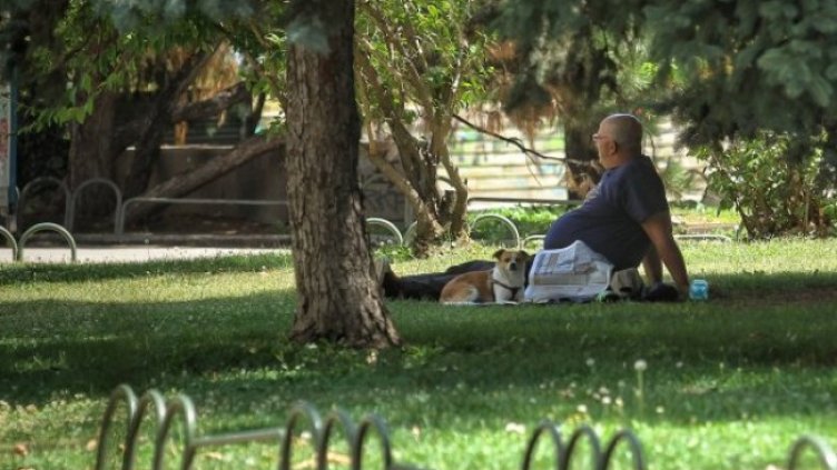 Снимка: Димитър Кьосемарлиев, Dnes.bg