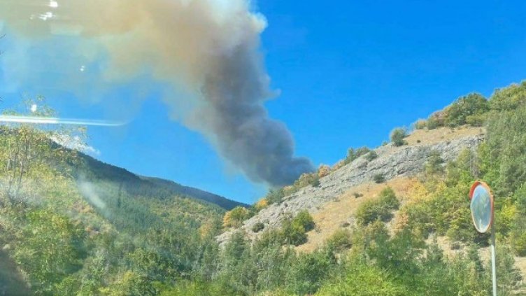 Снимка БГНЕС