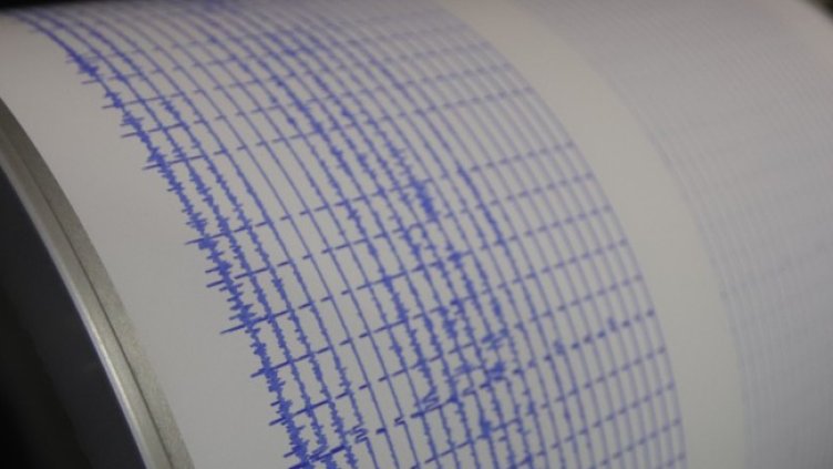 Снимка: архив, БГНЕС