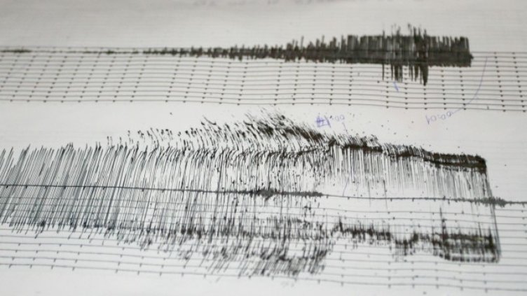 Снимка: архив, БГНЕС