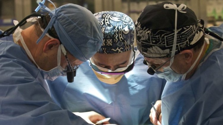 Снимка: архив, БГНЕС