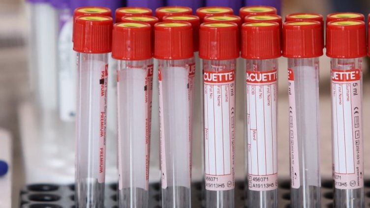 Снимка БГНЕС, архив