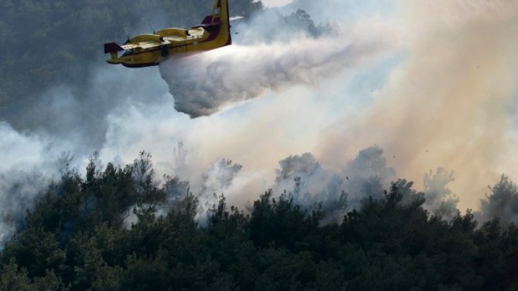 Снимка: БГНЕС