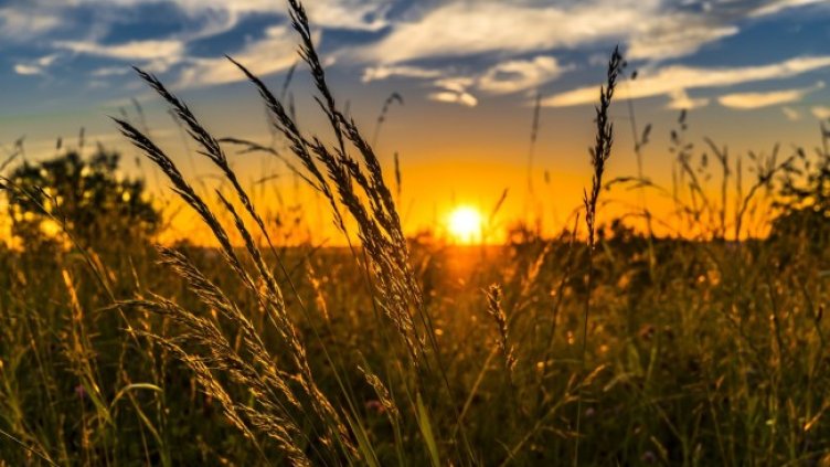 Снимка: Pixabay