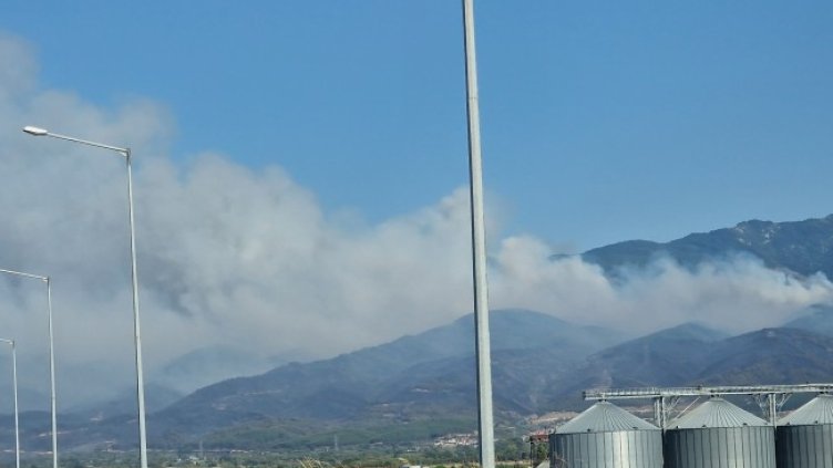 Снимка БГНЕС