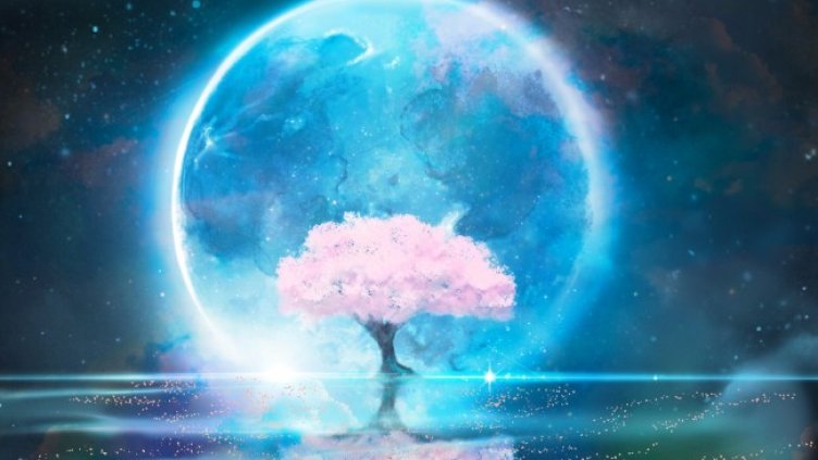 Снимка: iStock/NORIMA