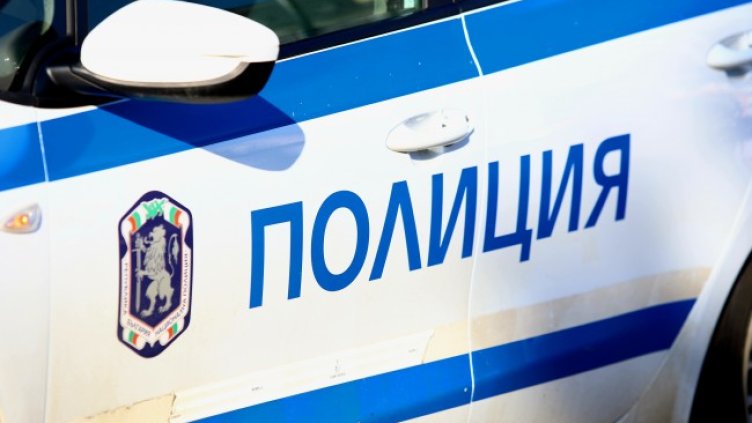 Снимка: архив, БГНЕС