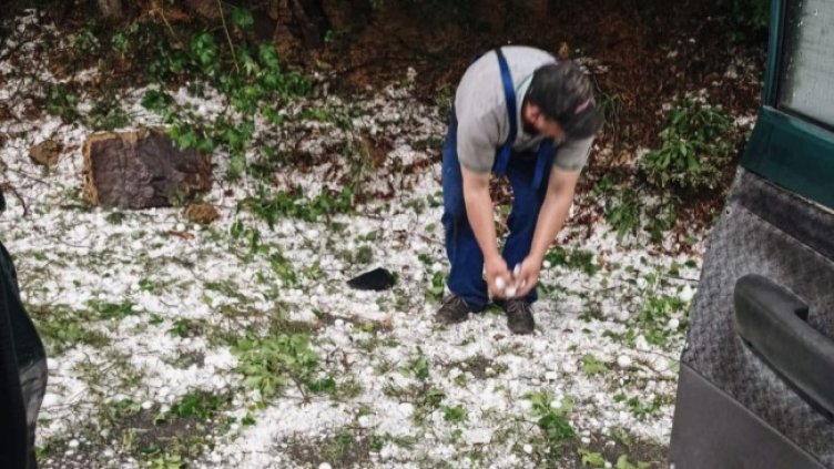 Снимка: БГНЕС