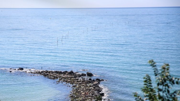 Снимка: архив, БГНЕС