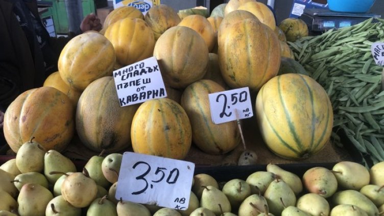 Снимка: БГНЕС