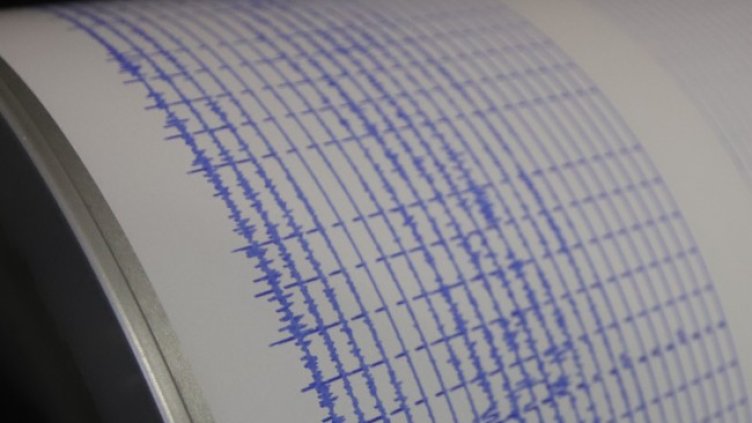 Снимка: архив, БГНЕС