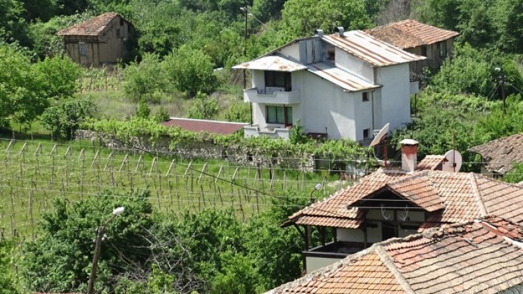 Снимка: архив, БГНЕС