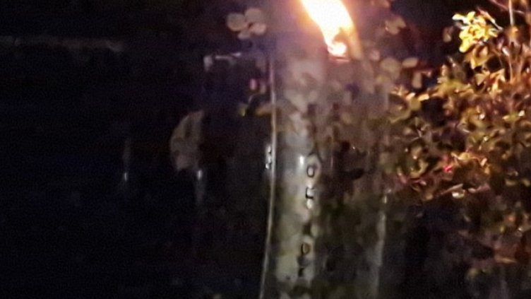 Снимка БГНЕС