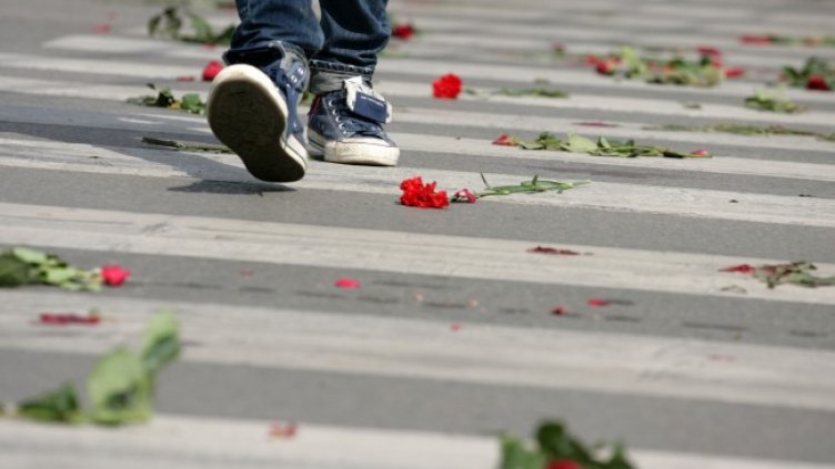 Снимка: архив, БГНЕС