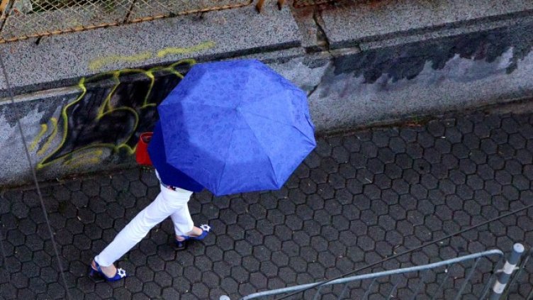 Снимка БГНЕС