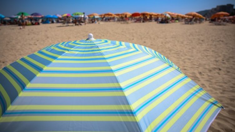 Снимка: архив, БГНЕС