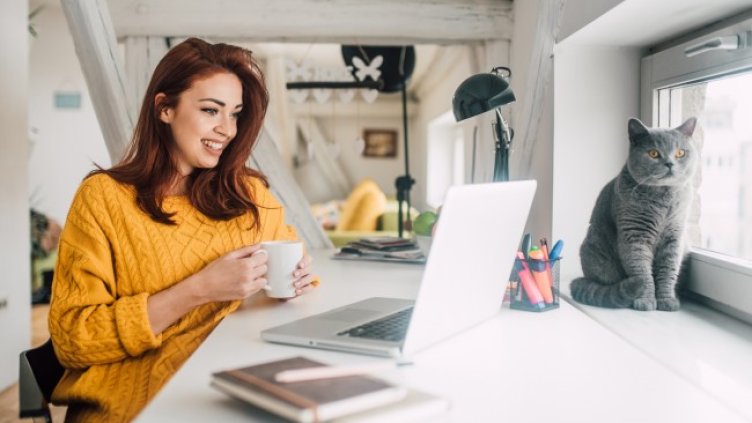 Снимка: Pixabay