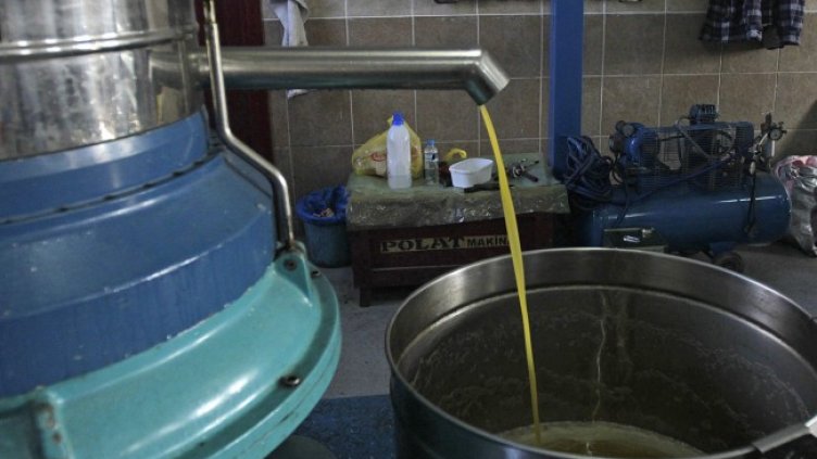 Снимка: архив, БГНЕС