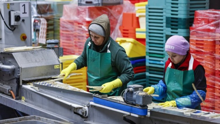 Снимка: архив, БГНЕС