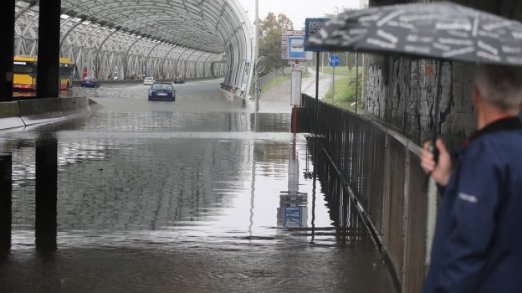 Снимка: БГНЕС