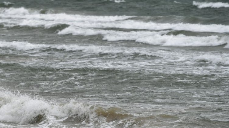 Снимка: архив, БГНЕС