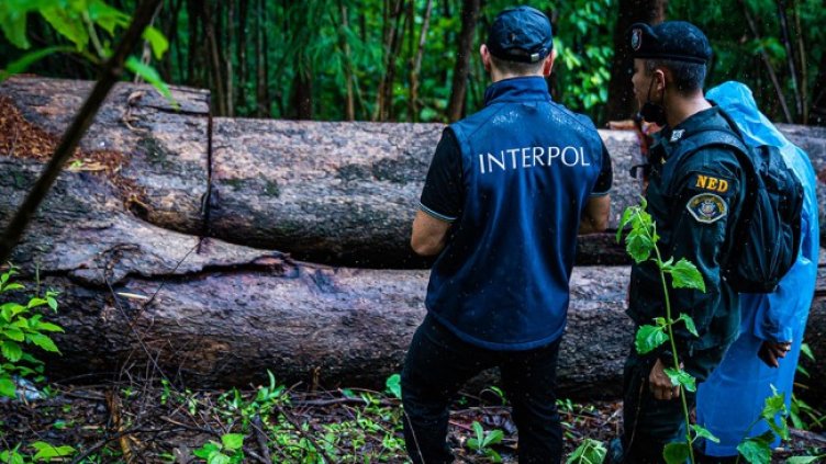 Снимка: Interpo