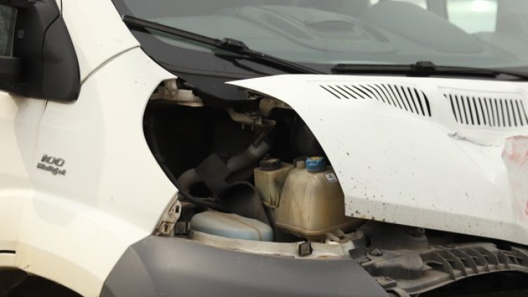 Снимка: архив, БГНЕС