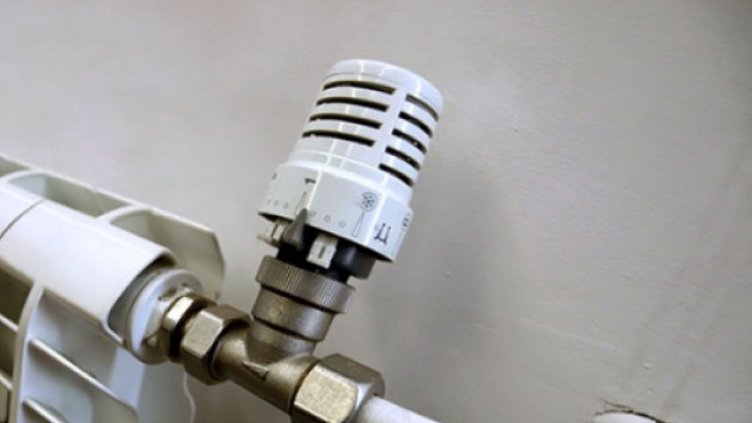 СНИМКА БГНЕС