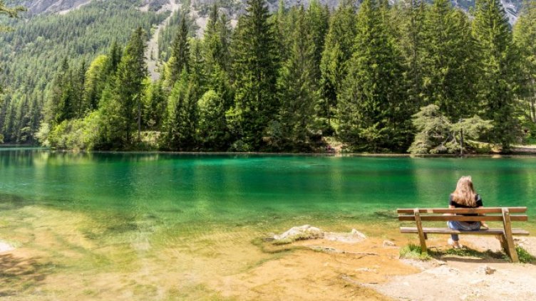 Снимка: iStock/David Irlweg