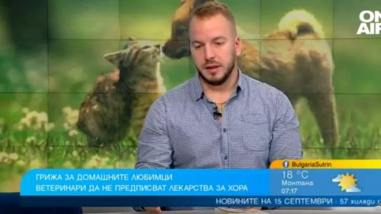 Снимка: Bulgaria ON AIR